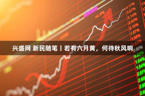 兴盛网 新民随笔丨若有六月黄,何待秋风响